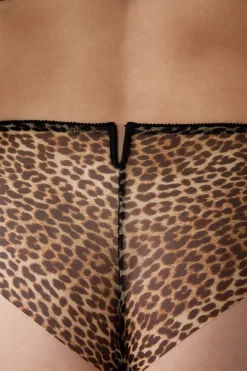 ETAM Culotte|Novedades Braguitas|Braga de tul MARRON