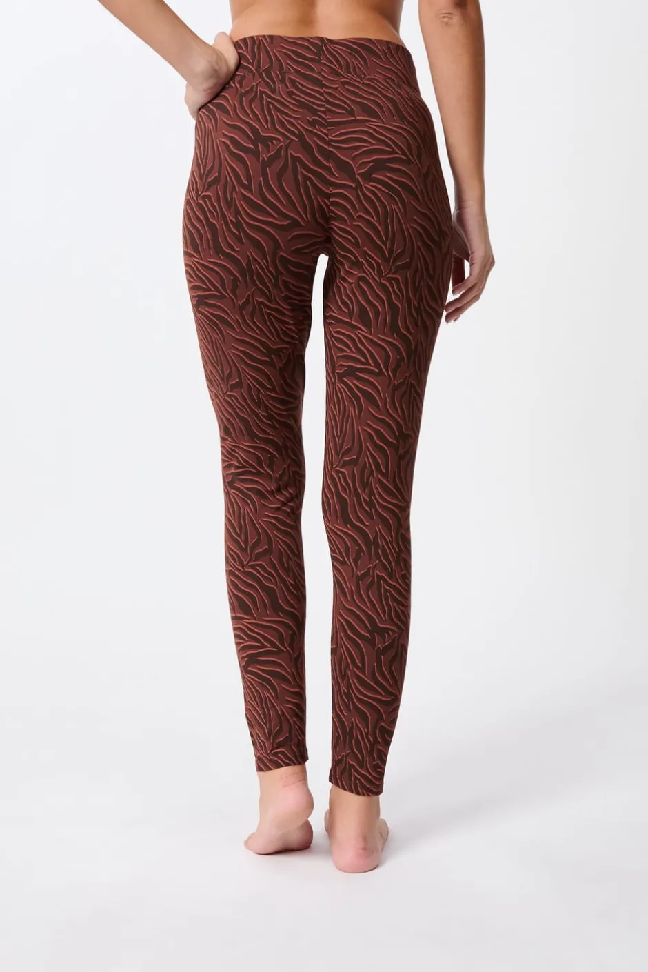 ETAM Leggings|Medias Y Calcetines|Legging à motifs en coton MARRON