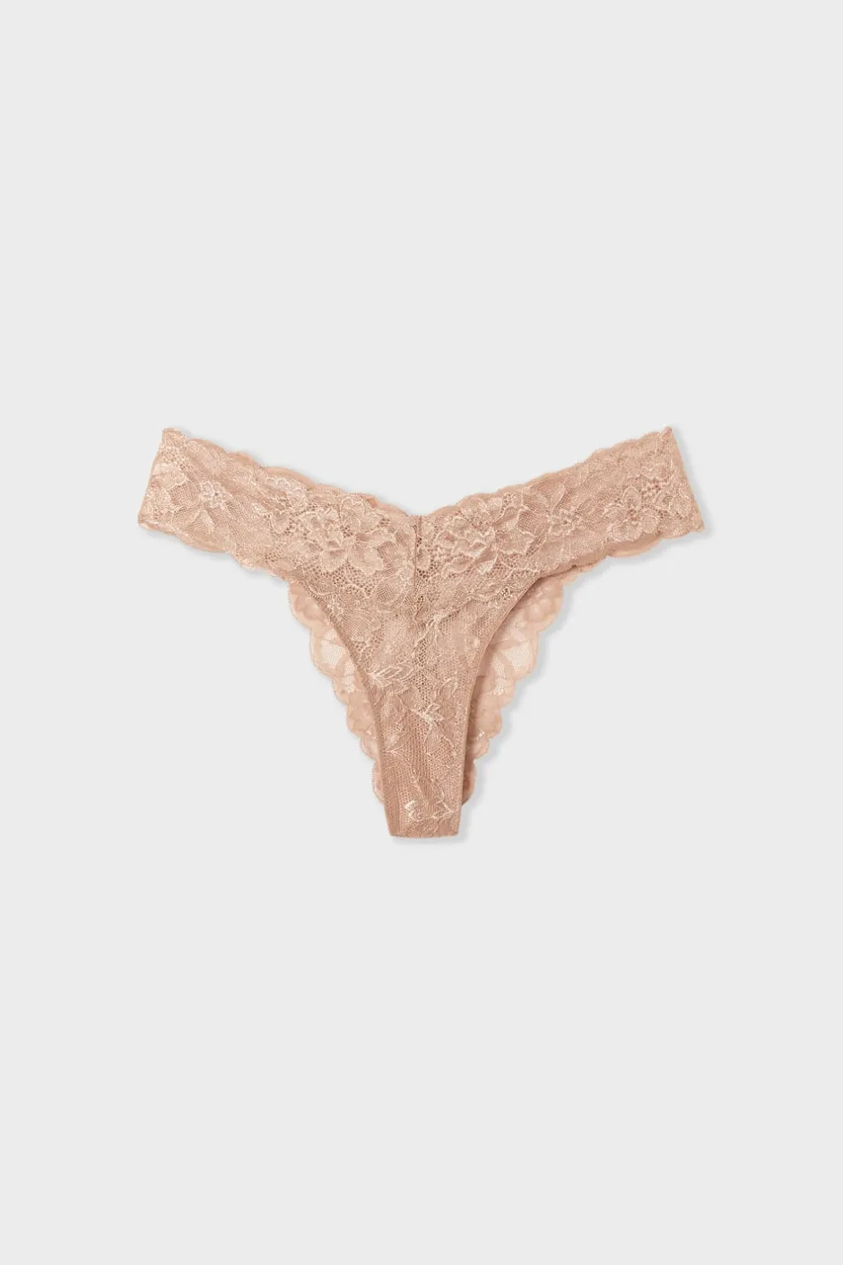 ETAM Braguitas Encaje|Tanga Brasileño|Tanga de encaje tejido brillante DUNE
